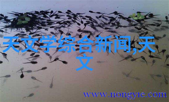 乱堆填料与规整填料哪种更适合我们的城市生态