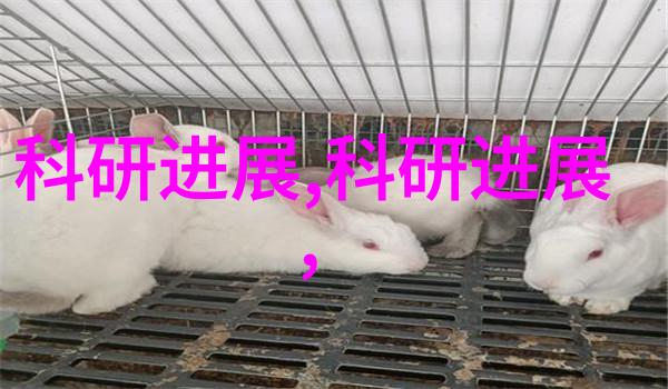 铸就卓越机器人提升系统的创新之旅