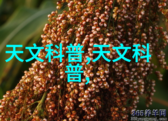 人造石的魅力高科技材料的新宠