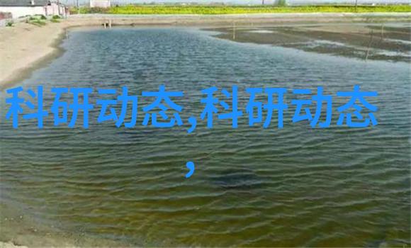 苹果公司最新智能手机iPhone新款发布