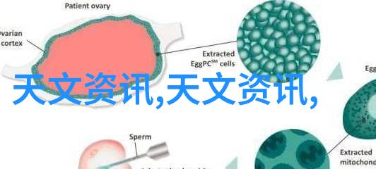 中国芯片惊天骗局-揭秘国产芯片背后的阴谋与挑战