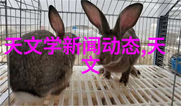工程师必备知识掌握每个pe料型号的优劣势