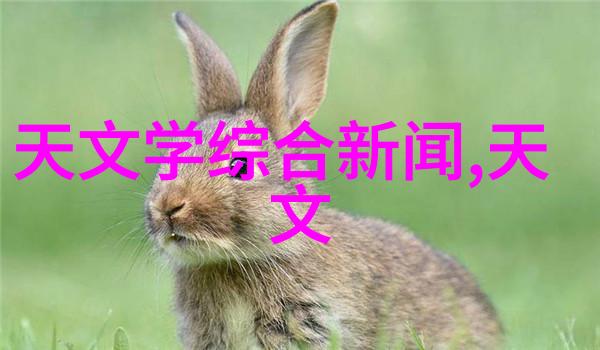 铁管的秘密它真的只是简单的金属管道吗