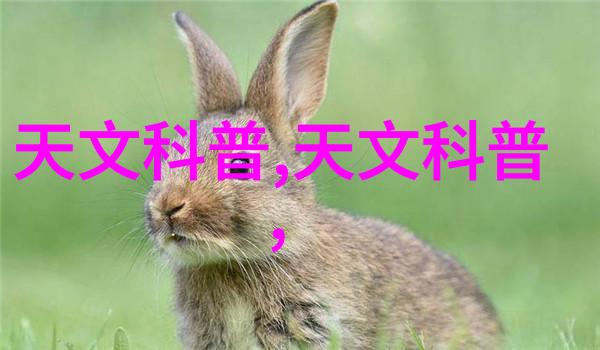 2023年最流行客厅装修风格现代简约与温馨复古并存