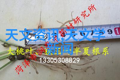 会议室效果图展示智慧空间的完美融合