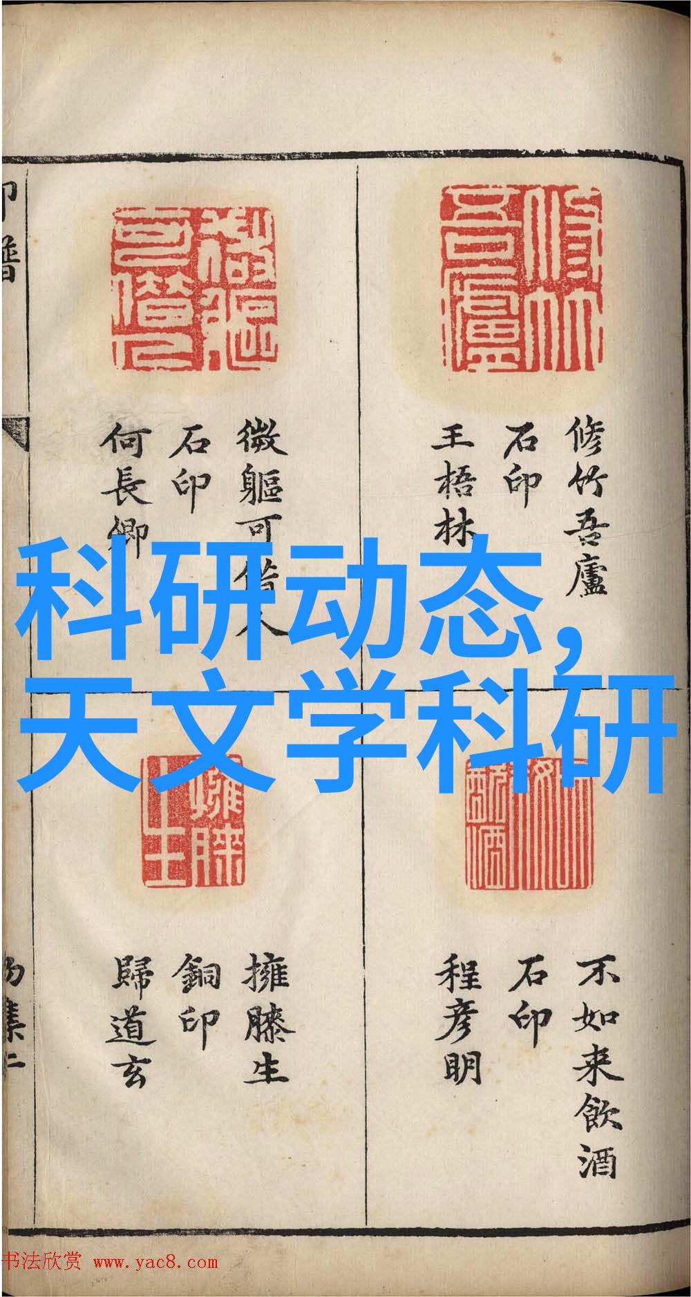 透过膜层的精准筛选揭秘分离工艺的科学奥秘