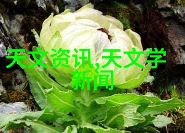 颗粒剂机械高效颗粒剂机械生产与应用