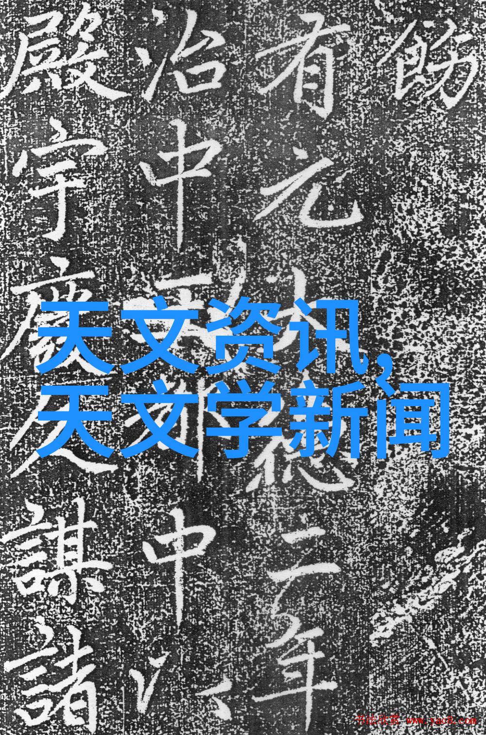 乞丐与恶犬的故事都市悲欢