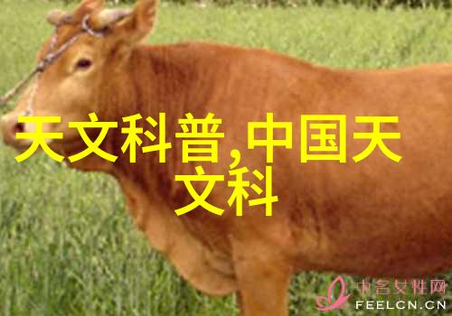 在家中使用空气消毒器需要注意哪些安全问题呢