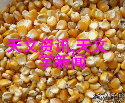 网上购车配件指南哪些应用程序值得信赖