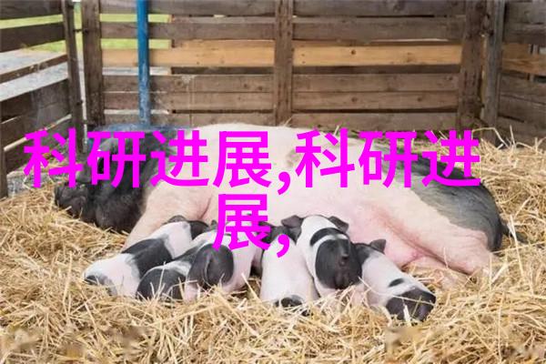 小区饮水机投放方案智能节能型饮用水设备配置与维护管理