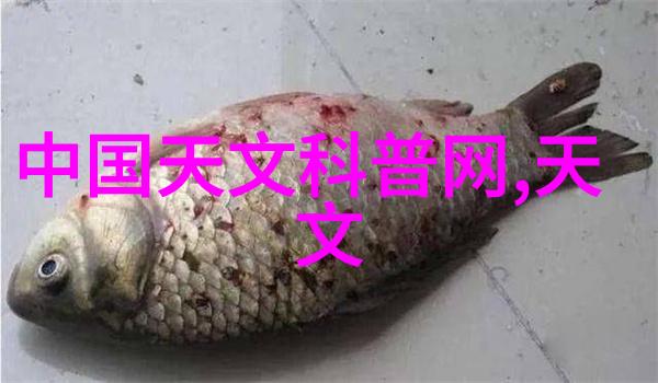 小型除尘除烟设备的选择与应用策略