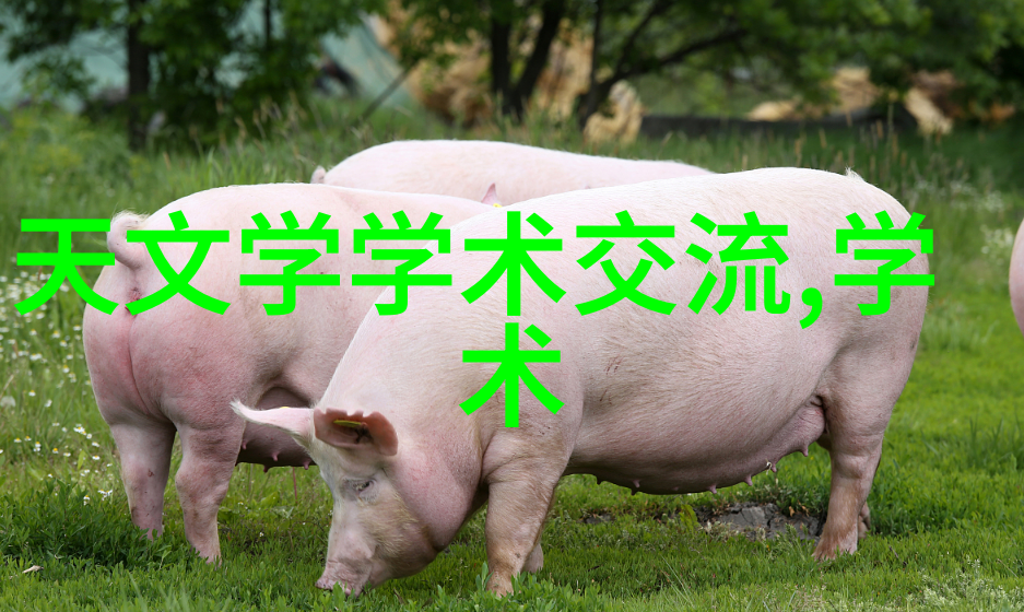环境保护专家如何选择合适的危废处置第三方服务公司