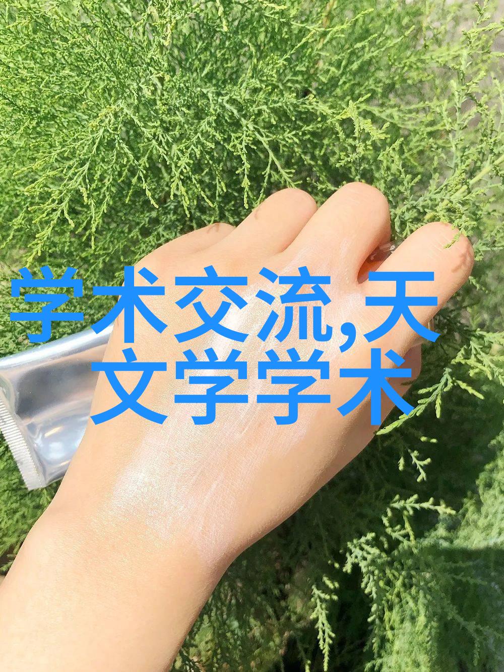 边塞水果唐代边疆地区的农业与贸易