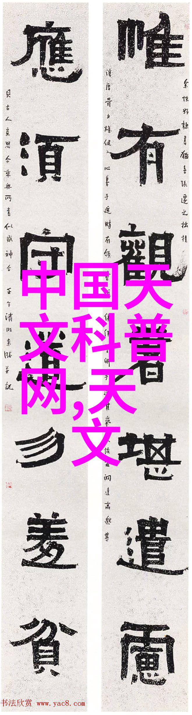 市场上有哪些创新型塑料分離设备值得关注和推荐使用