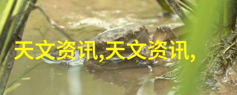 反应釜中的秘密加热实验室之谜