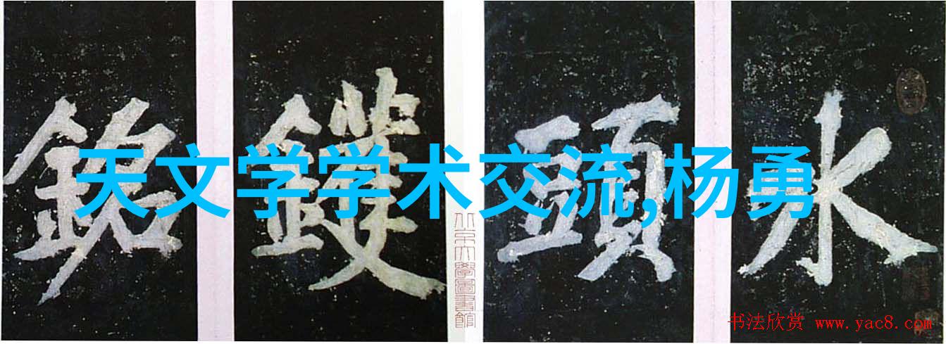 膜分离原理与应用透过层析的科学艺术