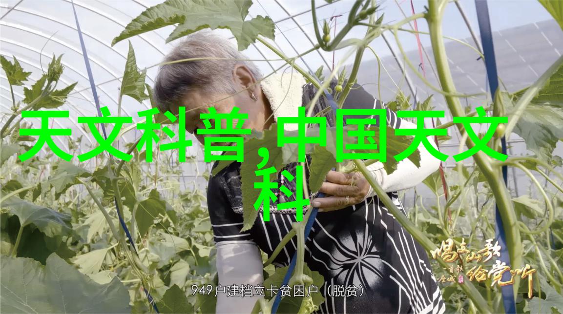 物流系统优化高效的货物运输管理