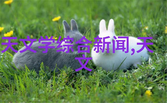 中策装饰创意无限的空间艺术家