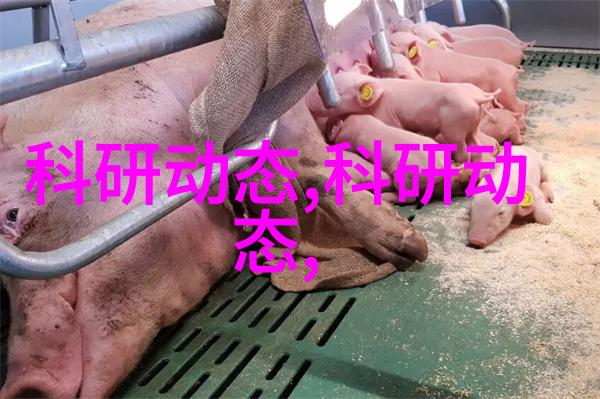 abs波纹斜板填料能否抵御极端天气条件的考验