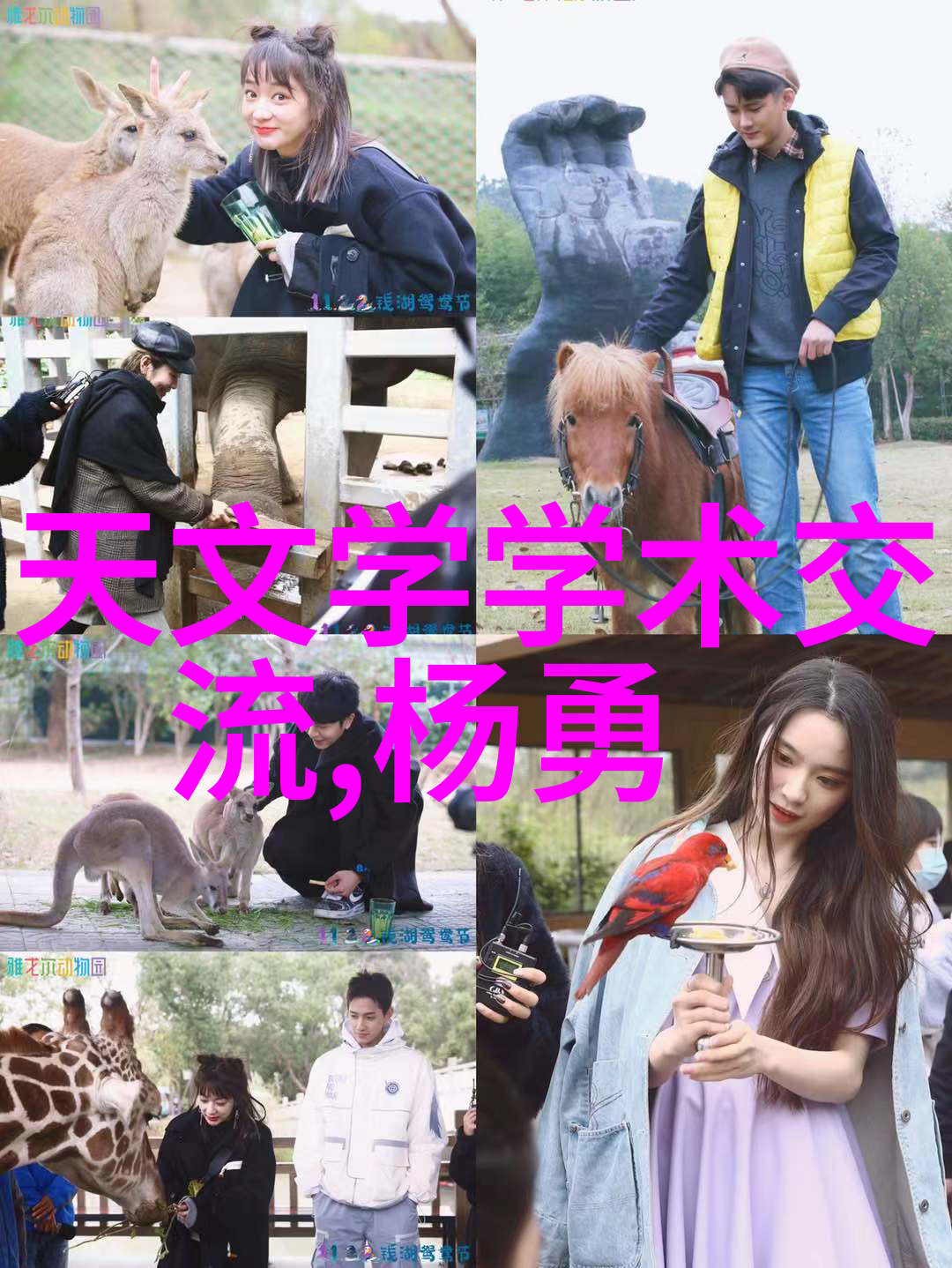 厨房门装修效果图-美食之门创意厨房门装修效果图欣赏