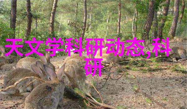 解密莞式武术三十六式视频深度剖析