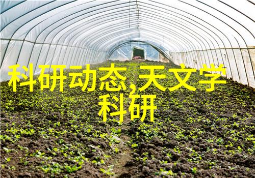 中南财经大学在经济学研究领域的成就与展望