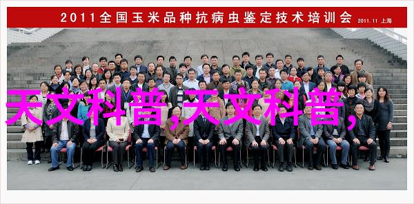PE管件使用场景广泛查看最新价目单了解应用前景