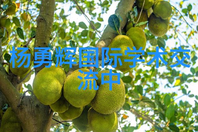 天海恋曲爱情电影网中的天海之美