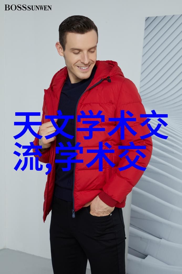 述职报告撰写技巧如何精心构筑个人成就篇章