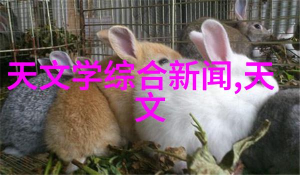 流动的分离综合体之心的抽象之歌