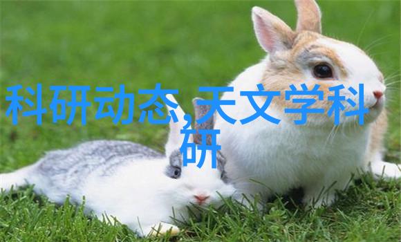 化学工程-管式反应器的设计原则与应用概述
