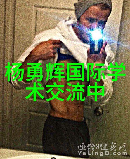 反应之舞Scr装置的抽象图谱