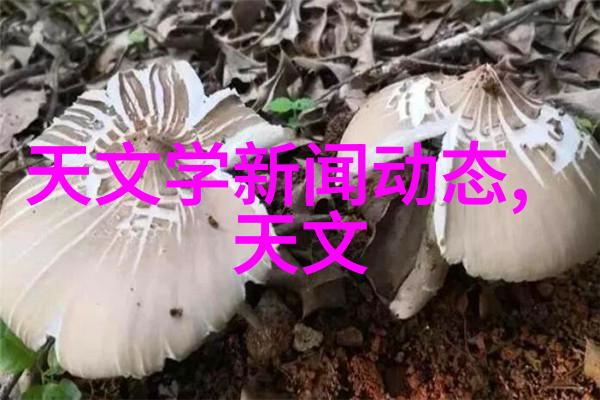 家庭中药萃取机的使用与维护指南