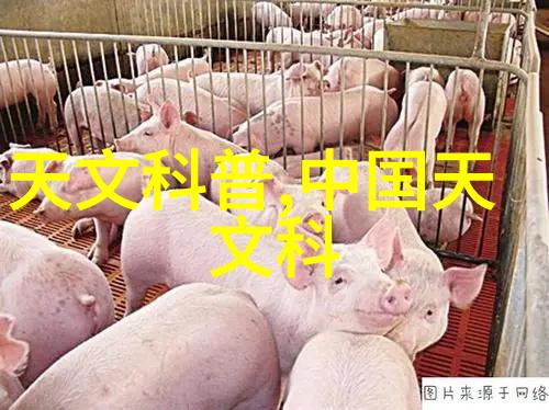 不锈钢丝网填料参数编织精髓的艺术与实用技术