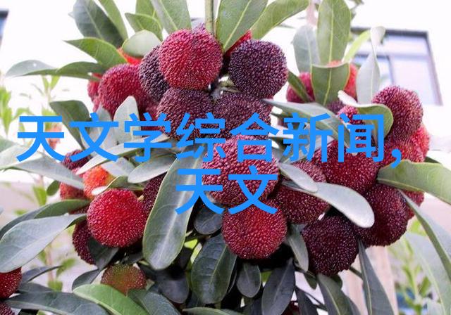 透明多功能探索不锈钢玻璃和聚合物材料各自特点及适用场景