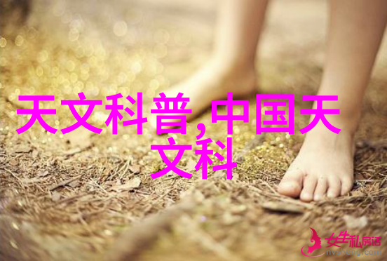 如何确保纯化水制水机组的长期稳定性与高效率运行