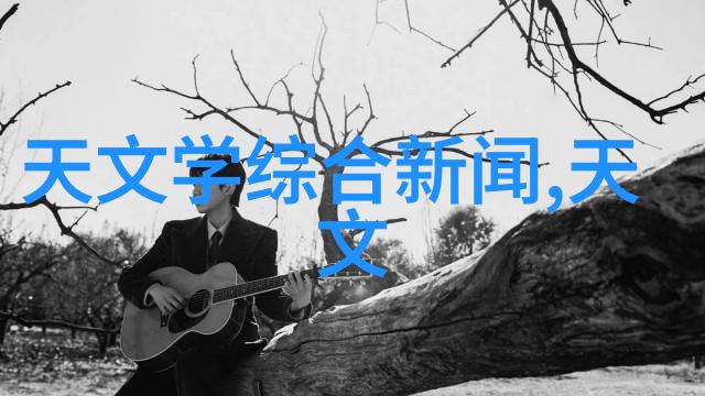 卫生泵系统确保清洁与效率的关键角色