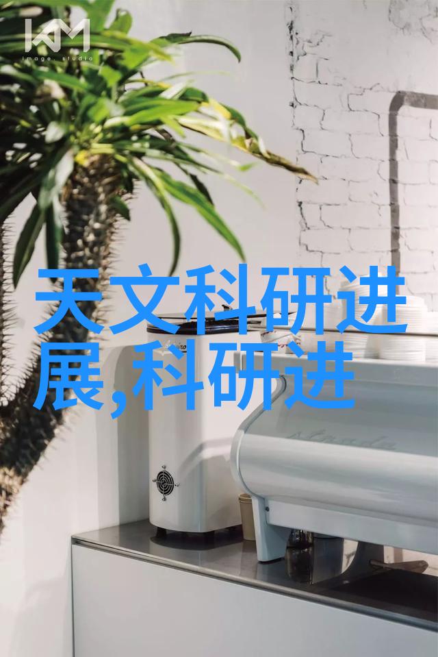自我反思与成长年度总结报告