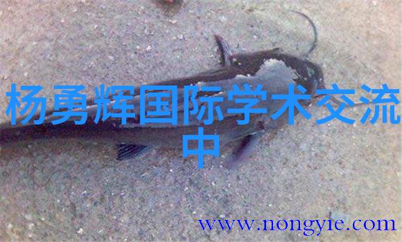 二手化工原料回收网 - 绿色循环探索二手化工原料回收网的未来