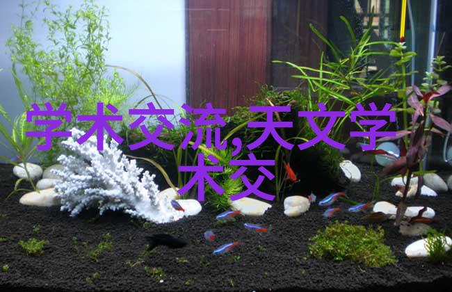 安全监控到自动驾驶机器视觉系统的多重应用探索