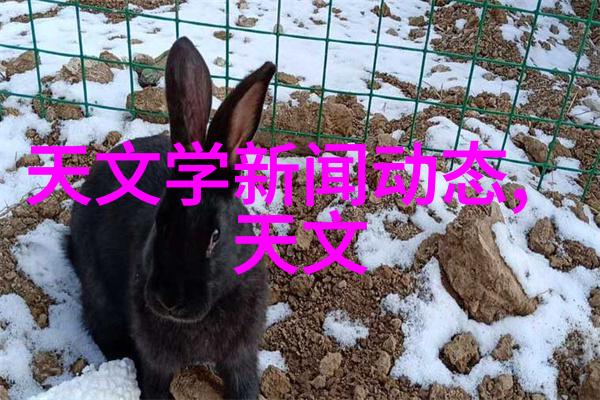鲍尔环填料的规整性探究细腻结构与稳定性能