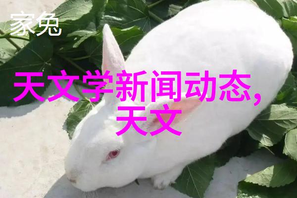 个人如何检测水质揭秘家用水质测试的简单方法与技巧