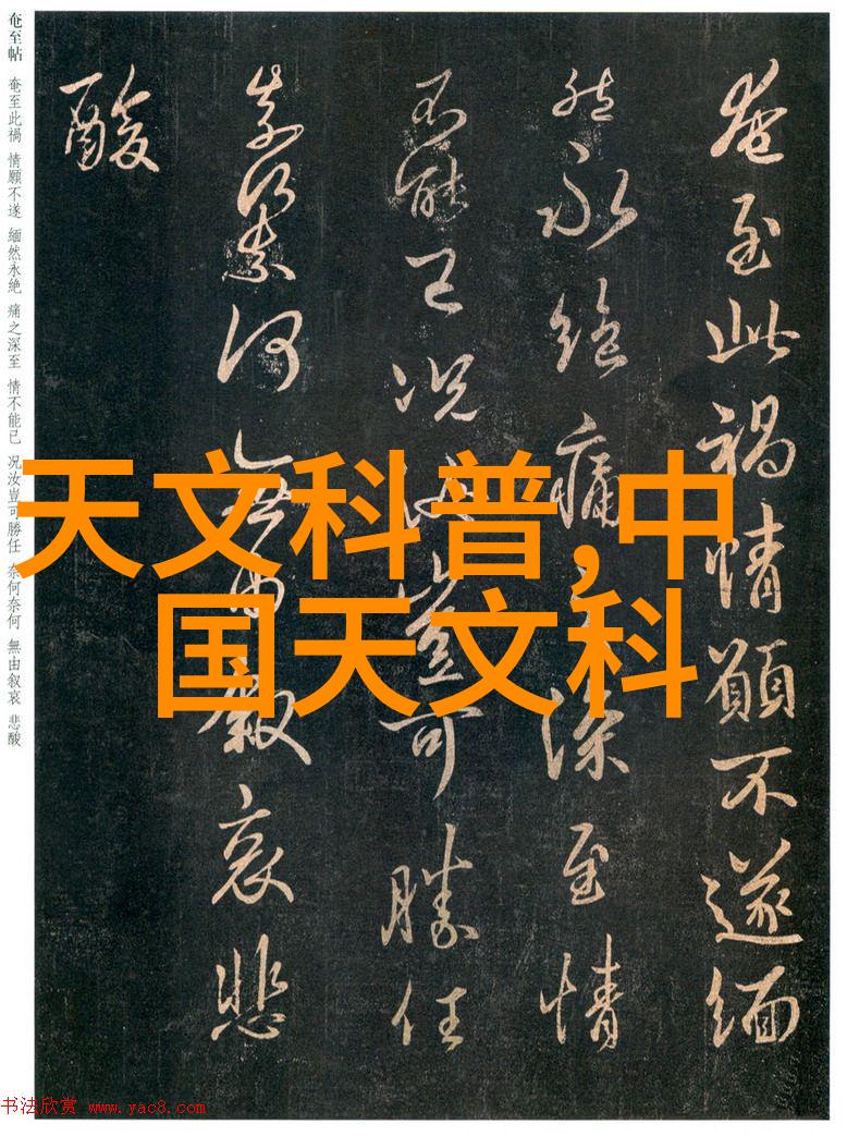 布袋除尘-细腻捕捉探索高效清洁技术的未来