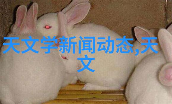 化工粉碎设备高效细磨解决方案