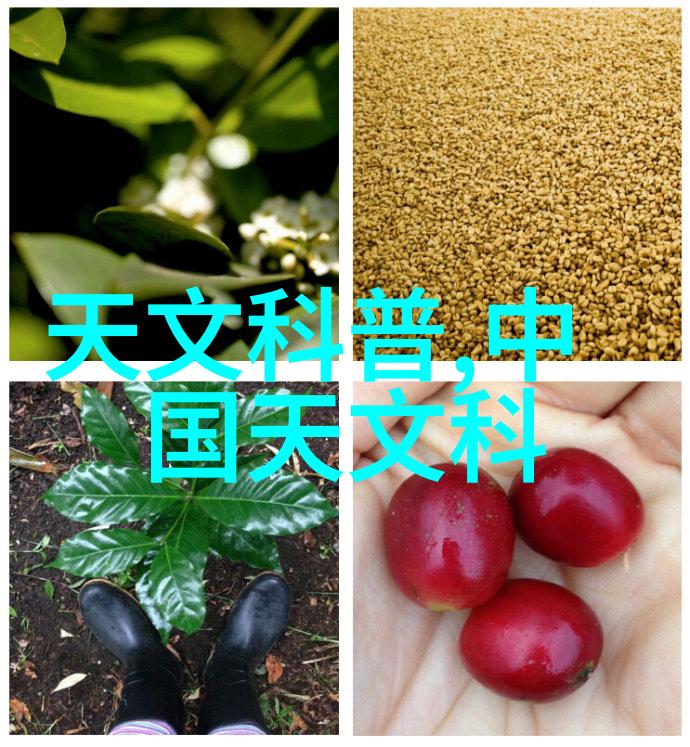 颗粒剂机械生产线高效稳定颗粒剂机械制造设备
