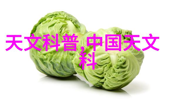 重生首长的小媳妇 - 征服未来重回过去的爱与勇气