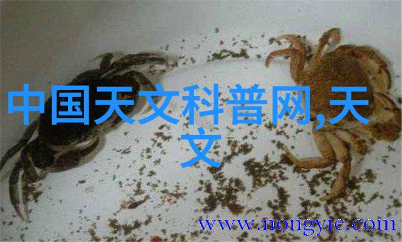 清澈源医用纯化水设备的故事