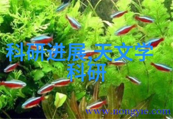 项目融资策略财源滚滚的启航之旅