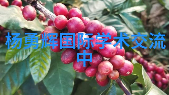 小户型大智慧43平米精致装修实用心得分享